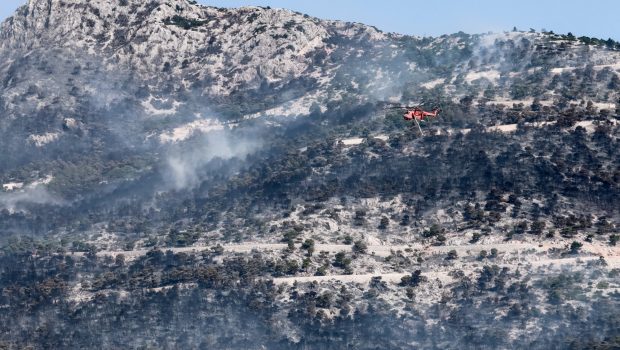 Το «αποτύπωμα» των πυρκαγιών στην Αττική - Οι επιπτώσεις στο περιβάλλον και οι προτάσεις Λέκκα για την επόμενη μέρα
