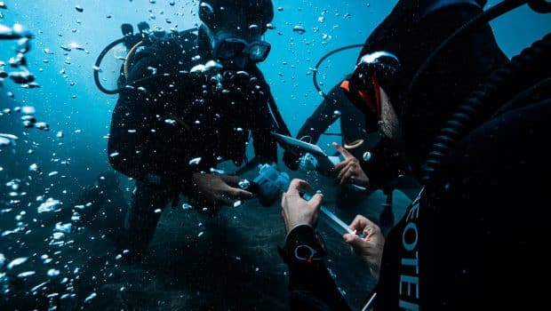 Ένας απρόσμενος σύμμαχος της ανθρωπότητας στη μάχη κατά της κλιματικής αλλαγής