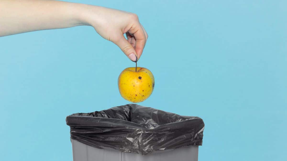 Someone putting an Apple in the bin
