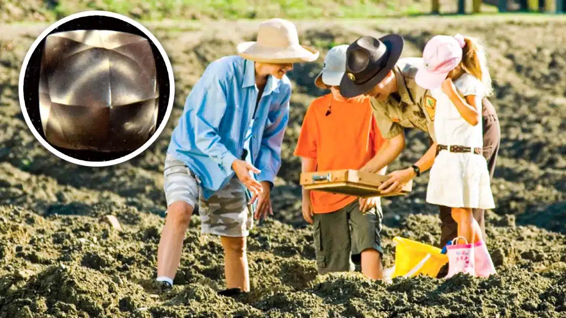 Κορίτσι 7 ετών ανακάλυψε κάτι πολύ σπάνιο στα γενέθλιά του