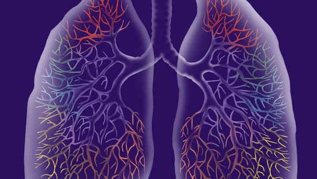 Μεταμόσχευση πνευμονικών κυττάρων χωρίς ανοσοκατασταλτικά