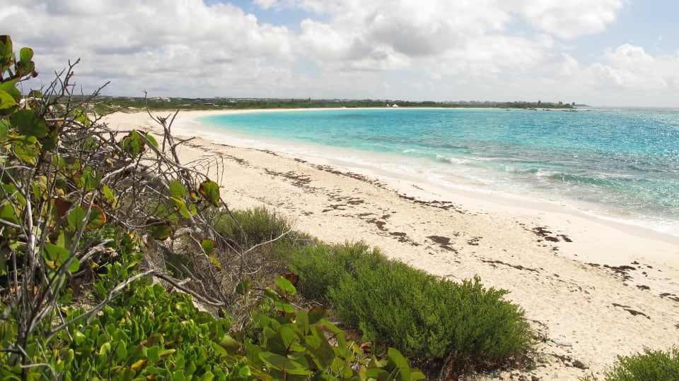 Σημαντικά έσοδα φέρνει η κατάληξη «.ai» στο νησί Ανγκουίλα — InfoCom