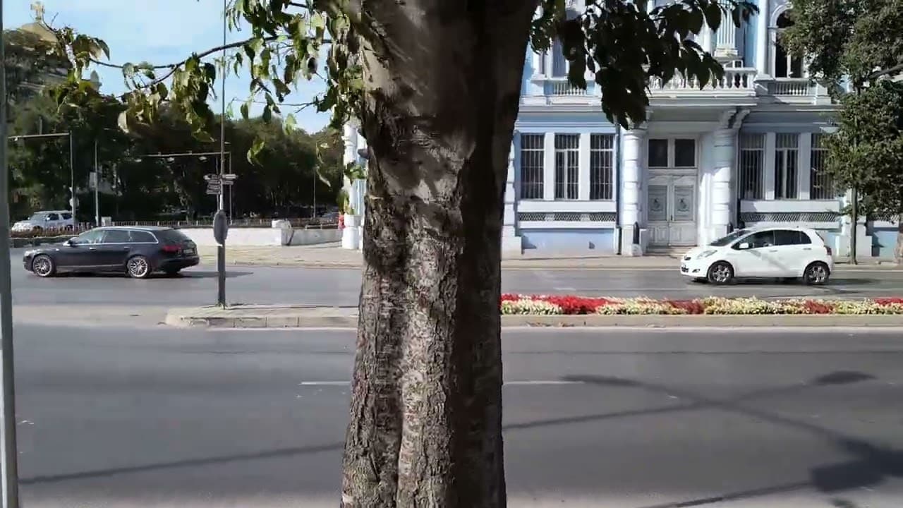 , Motorola Edge 40 Neo review: leather-clad midrange king, TechWar.gr