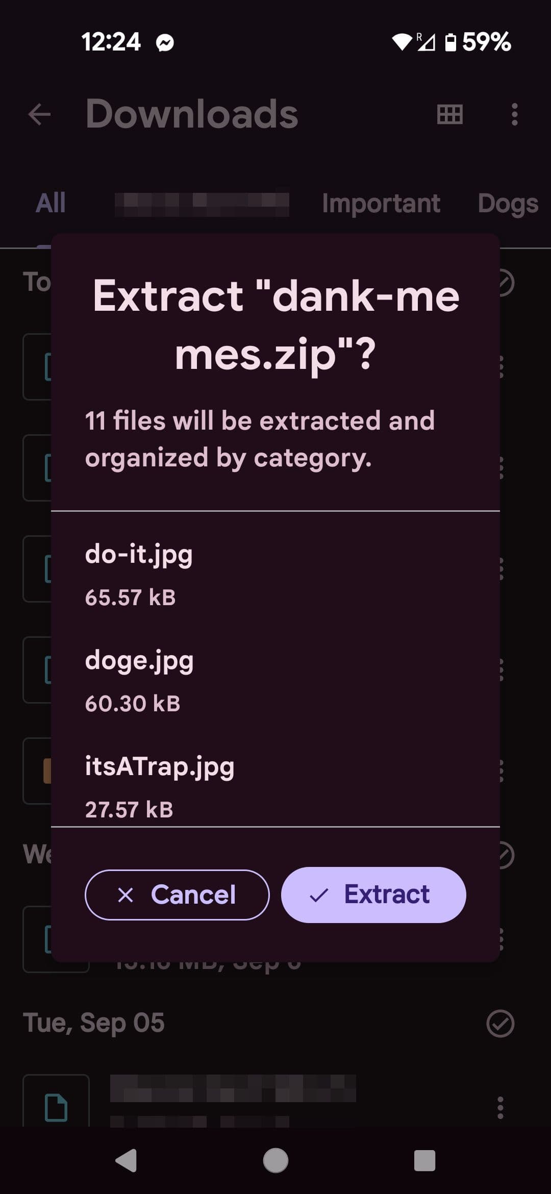Τα αρχεία της Google εξάγουν αρχεία από το παράθυρο ZIP modal