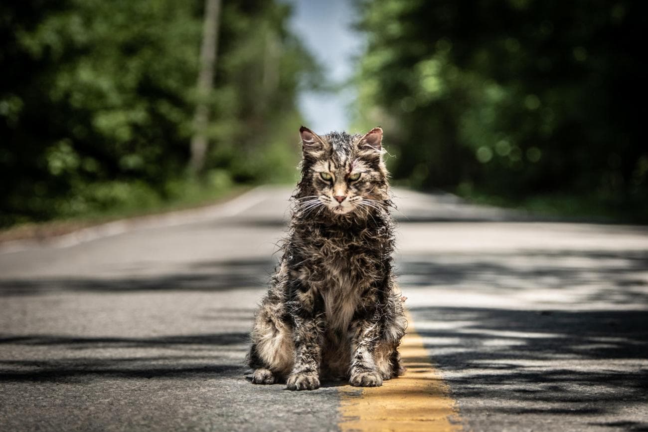 promotional still from Pet Sematary (2019)
