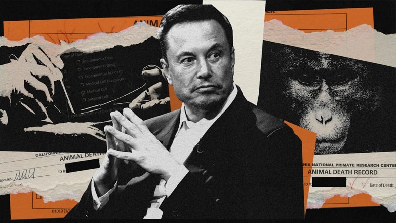 Η φρικτή ιστορία του πώς πέθαναν οι πίθηκοι του Neuralink