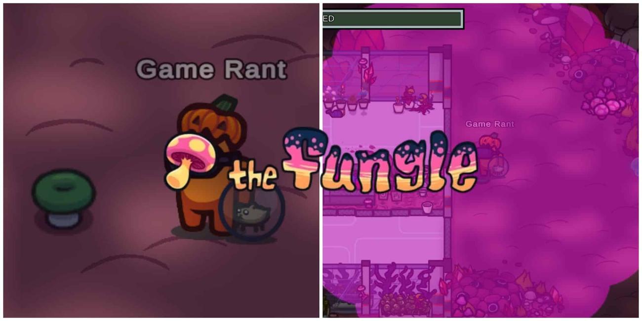 Πώς να χρησιμοποιήσετε τα σύννεφα μανιταριών (και πότε πρέπει να τα χρησιμοποιήσετε)
