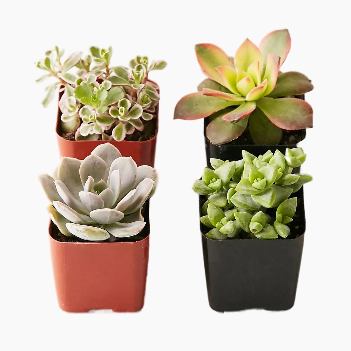 The Verge holiday gift guide 2023: 70 tech gifts, unique ideas, and more, The Verge holiday gift guide 2023: 70 tech gifts, unique ideas, and more, TechWar.gr