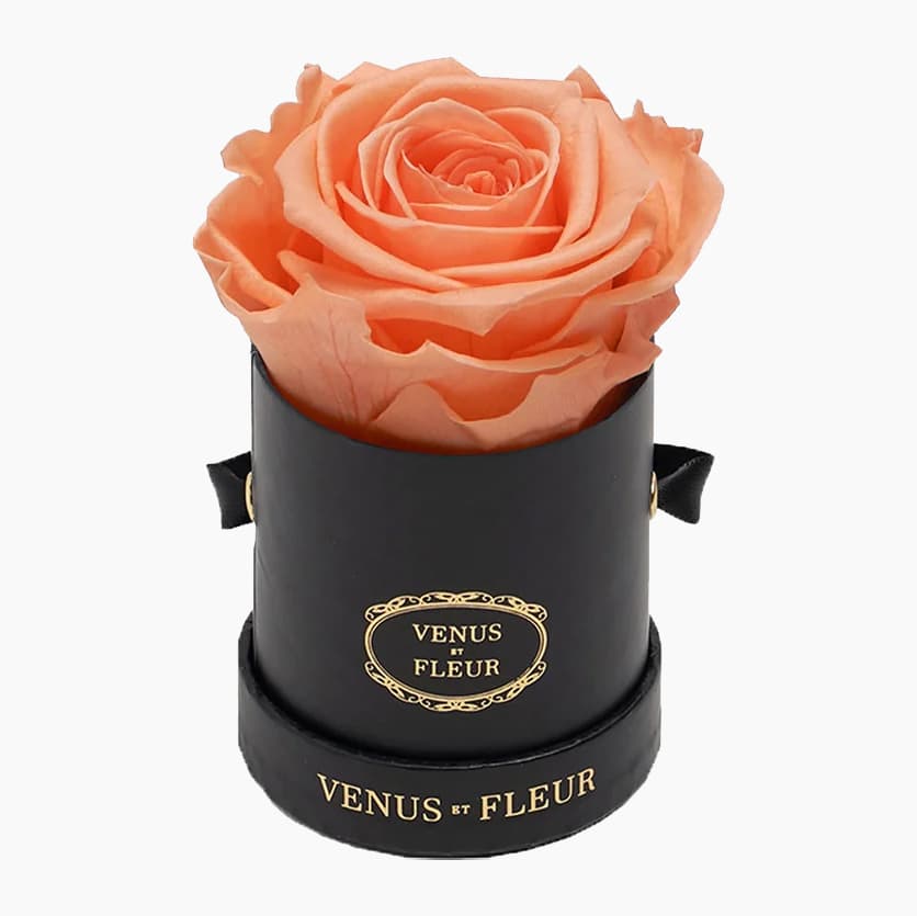 Οδηγός δώρων οικιακής τεχνολογίας The Verge's 2023 για διακοπές, Οδηγός δώρων οικιακής τεχνολογίας The Verge’s 2023 για διακοπές, TechWar.gr