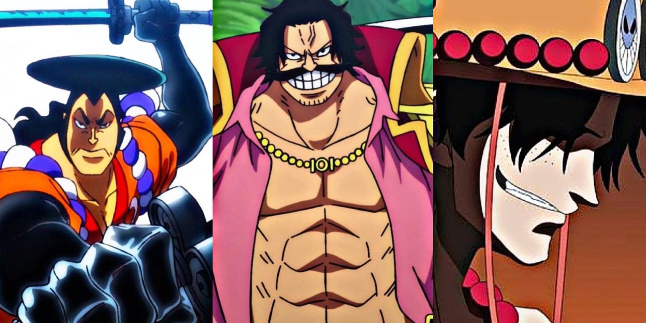 Εναλλακτικοί χρήστες του Gomu Gomu no Mi