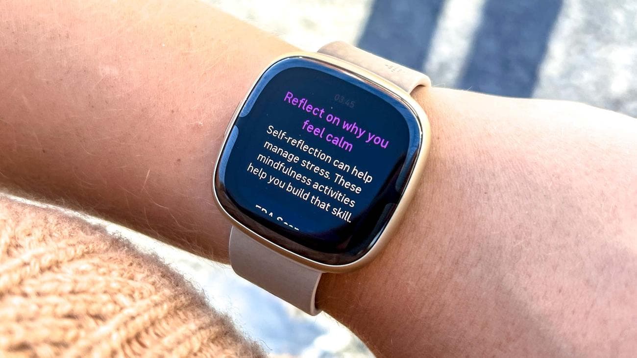 Fitbit Sense 2 εναντίον Fitbit Versa 4 — ποιο έξυπνο ρολόι γυμναστικής είναι το καλύτερο για εσάς;, Fitbit Sense 2 εναντίον Fitbit Versa 4 — ποιο έξυπνο ρολόι γυμναστικής είναι το καλύτερο για εσάς;, TechWar.gr