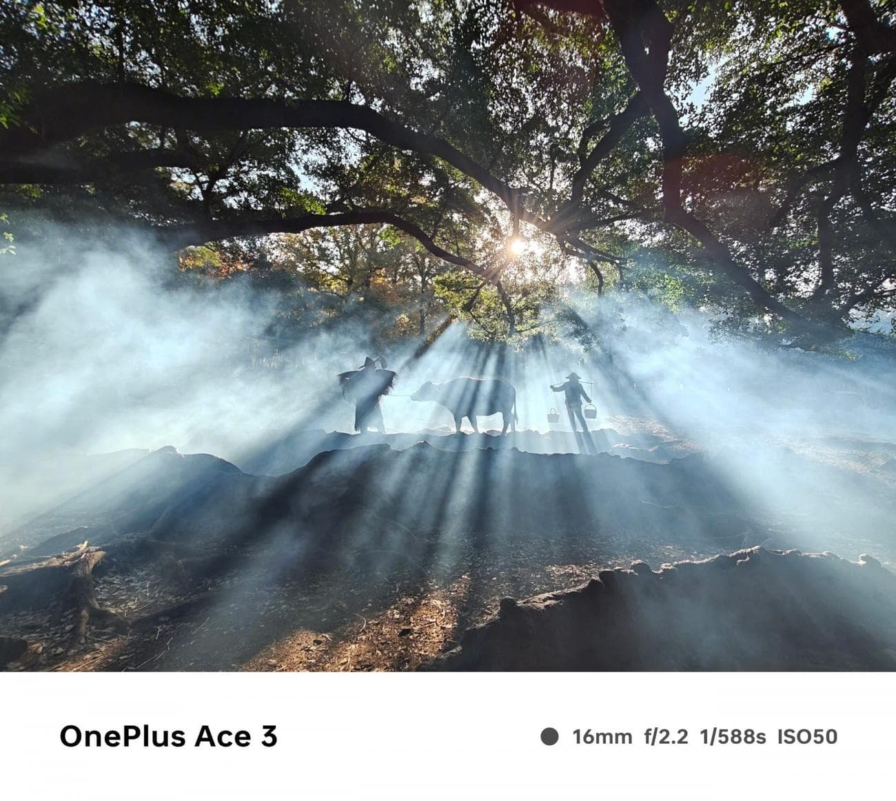 OnePlus Ace 3: έχουμε τα πρώτα δείγματα κάμερας, OnePlus Ace 3: έχουμε τα πρώτα δείγματα κάμερας, TechWar.GR