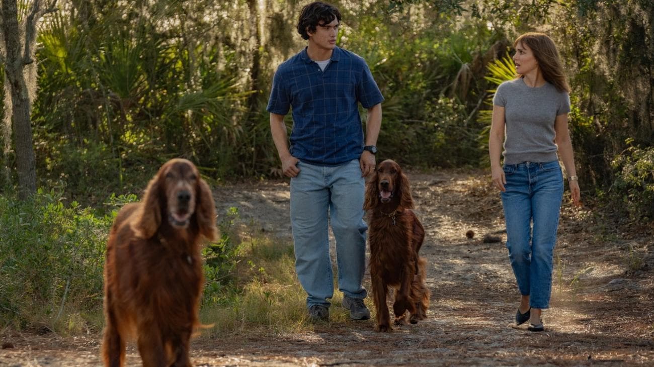 Το «Μάιος Δεκέμβρης» αρπάξει από το «All About Eve»; Ο Τοντ Χέινς εξηγεί, Το «Μάιος Δεκέμβρης» αρπάξει από το «All About Eve»;  Ο Τοντ Χέινς εξηγεί, TechWar.gr