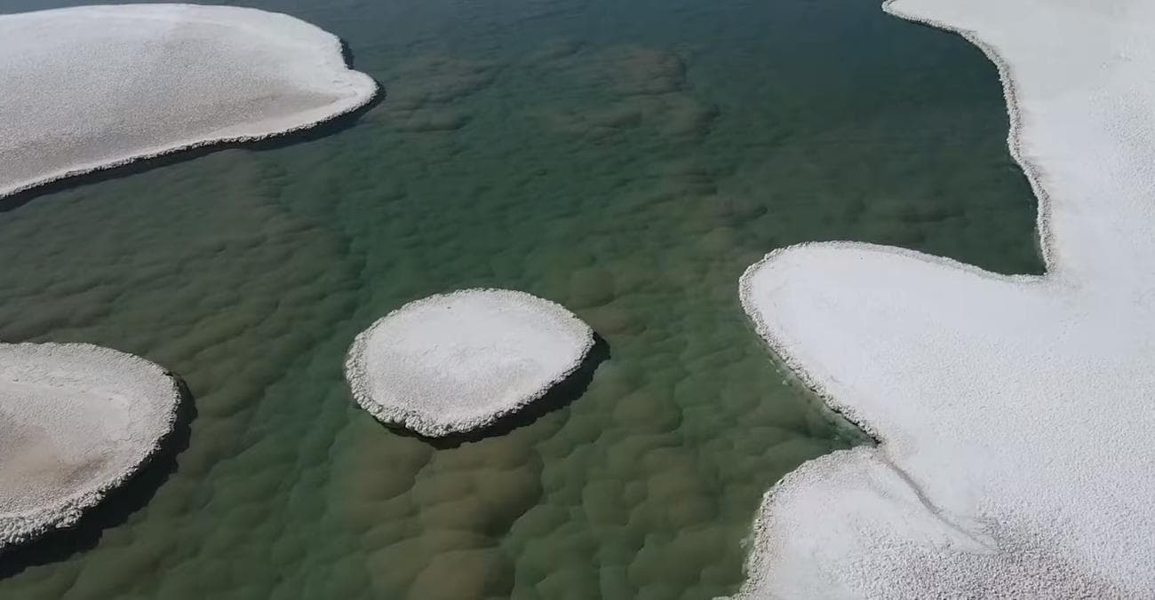 Οι επιστήμονες ανακαλύπτουν άγνωστο προϊστορικό κόσμο στη Γη / FOXreport.gr, Οι επιστήμονες ανακαλύπτουν άγνωστο προϊστορικό κόσμο στη Γη, TechWar.gr
