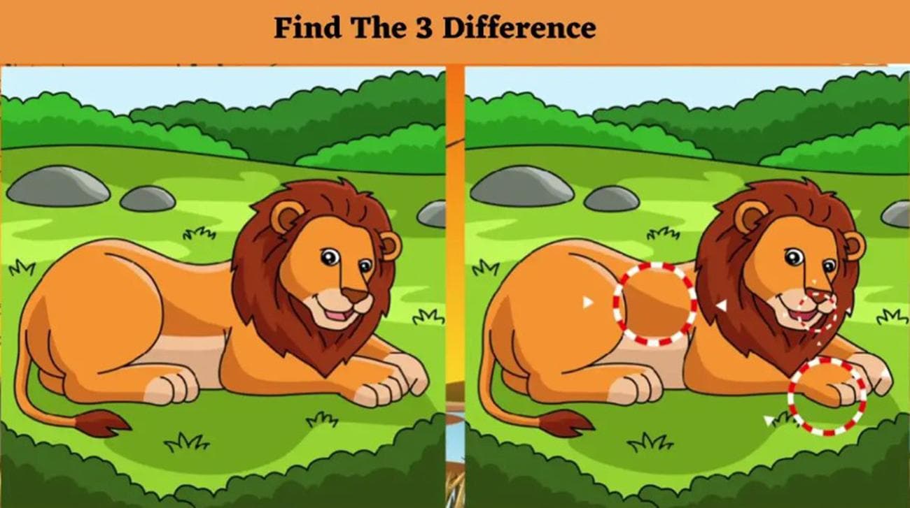 Μπορείτε να βρείτε τις διαφορές στις εικόνες με το λιοντάρι σε 10 δευτερόλεπτα; / FOXreport.gr, Μπορείτε να βρείτε τις διαφορές στις εικόνες με το λιοντάρι σε 10 δευτερόλεπτα;, TechWar.GR