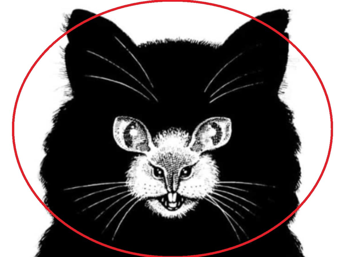 Το ζώο που βλέπετε πρώτα αποκαλύπτει αν είστε ντροπαλός ή ανεξάρτητος / FOXreport.gr, Το ζώο που βλέπετε πρώτα αποκαλύπτει αν είστε ντροπαλός ή ανεξάρτητος, TechWar.gr