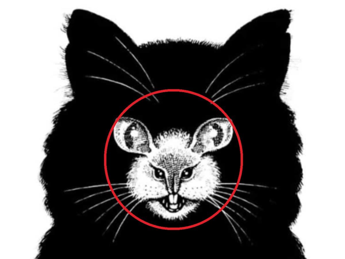 Το ζώο που βλέπετε πρώτα αποκαλύπτει αν είστε ντροπαλός ή ανεξάρτητος / FOXreport.gr, Το ζώο που βλέπετε πρώτα αποκαλύπτει αν είστε ντροπαλός ή ανεξάρτητος, TechWar.gr