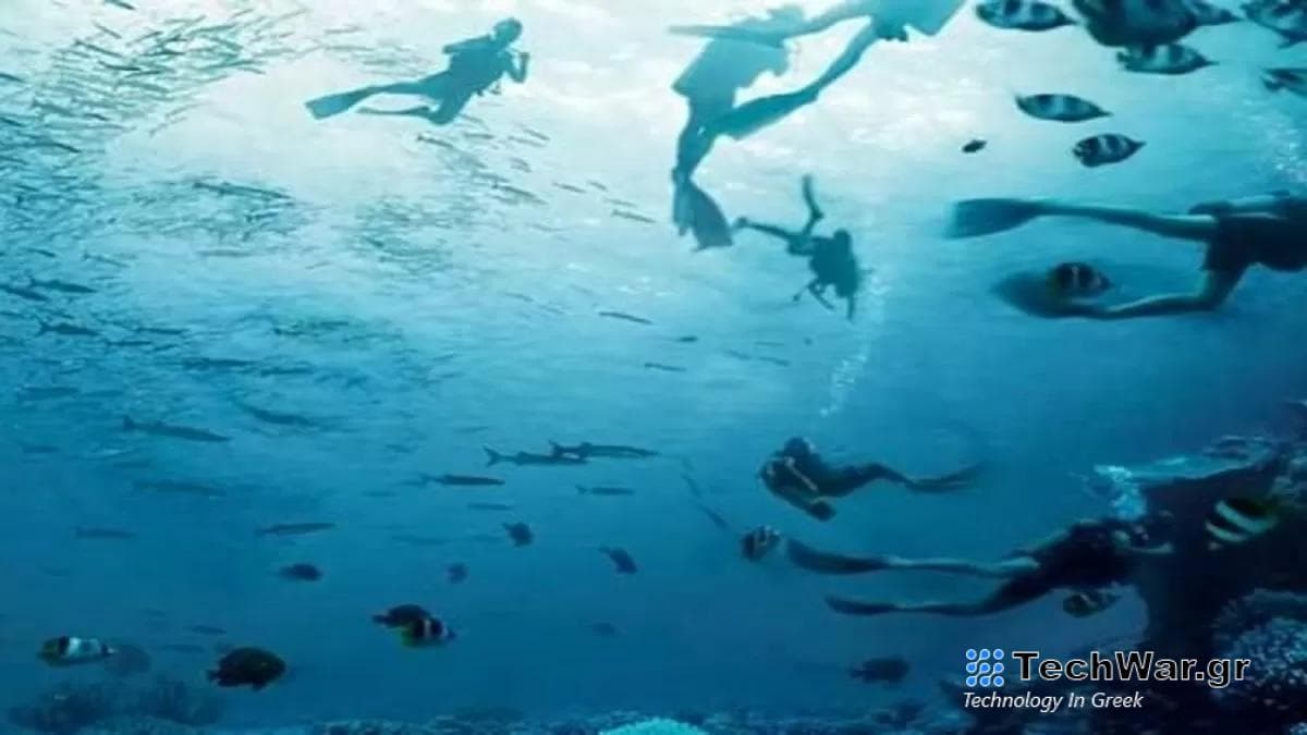 Τεστ προσωπικότητας Οπτική ψευδαίσθηση ψάρια δύτες πρόσωπα