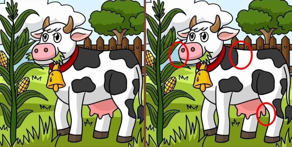 Μπορείτε να βρείτε τις 3 διαφορές στις εικόνες με την αγελάδα σε 12 δευτερόλεπτα; / FOXreport.gr, Μπορείτε να βρείτε τις 3 διαφορές στις εικόνες με την αγελάδα σε 12 δευτερόλεπτα;, TechWar.GR