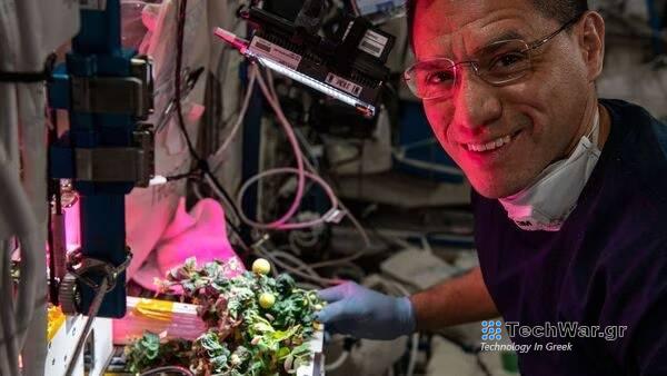 Αίσιο τέλος για τις χαμένες «διαστημικές» ντομάτες