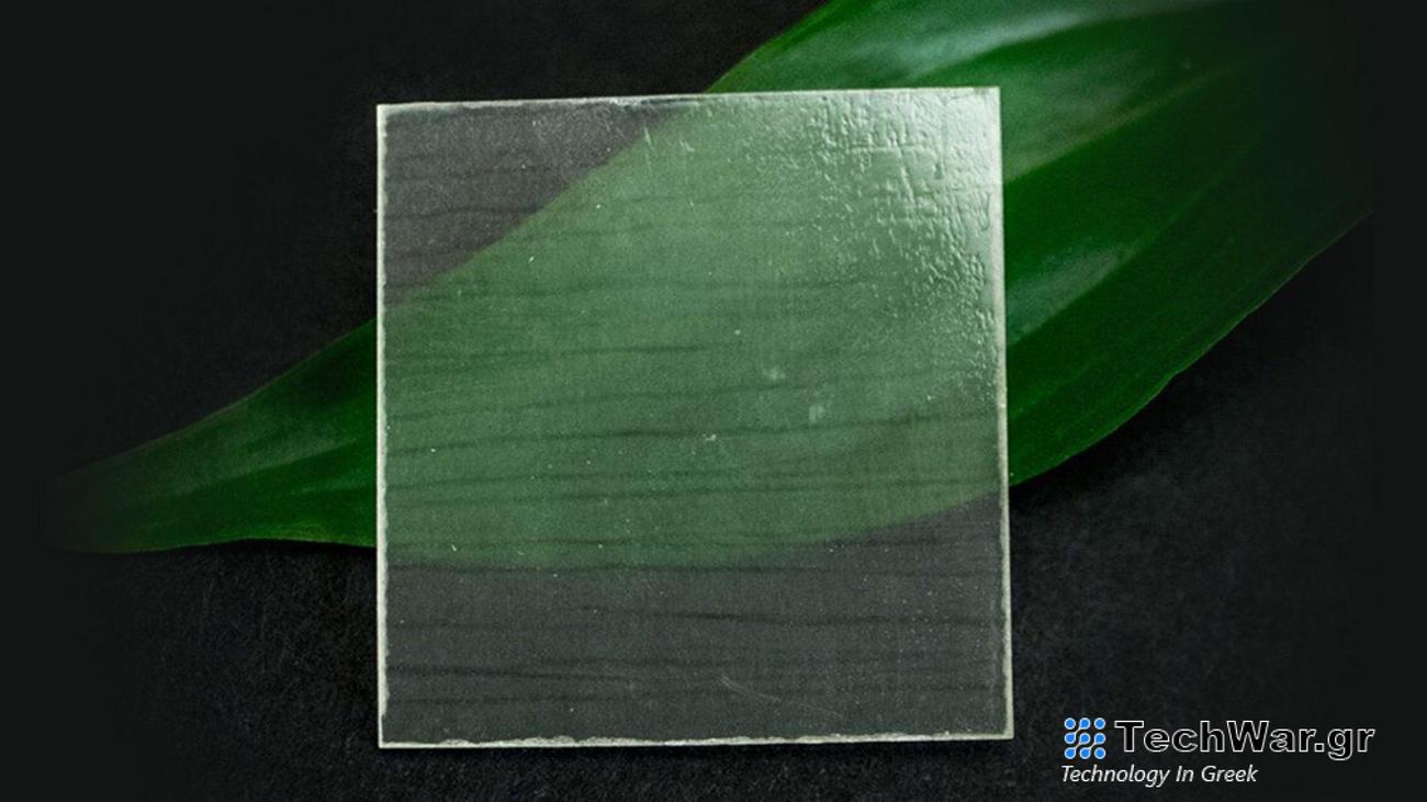 See-through wood has a number of interesting properties that researchers hope to exploit.