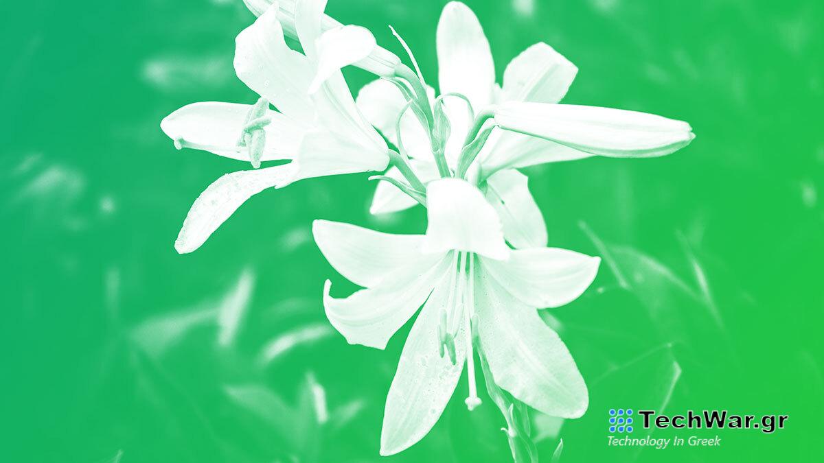 Θυμόμαστε τις startups που χάσαμε το 2023