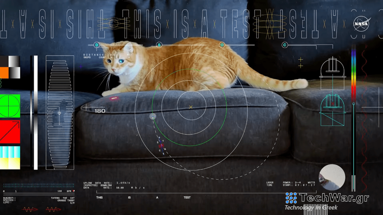 Screenshot of cat video sent from Psyche spacecraft to NASA