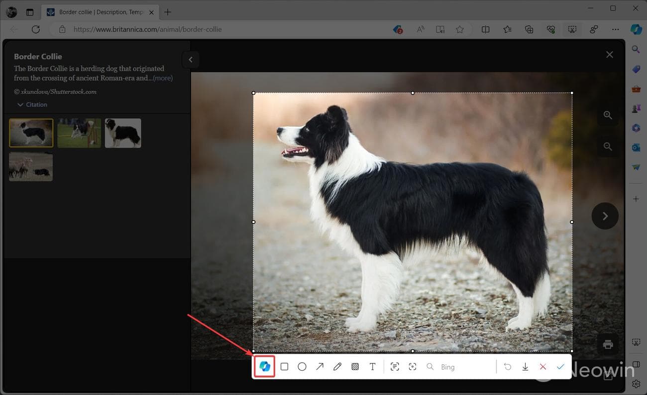 Edge για λήψη προηγμένων εργαλείων στιγμιότυπου οθόνης με το Copilot, το OCR και άλλα. εδώ είναι πώς να τα δοκιμάσετε, Edge για λήψη προηγμένων εργαλείων στιγμιότυπου οθόνης με το Copilot, το OCR και άλλα.  εδώ είναι πώς να τα δοκιμάσετε, TechWar.GR