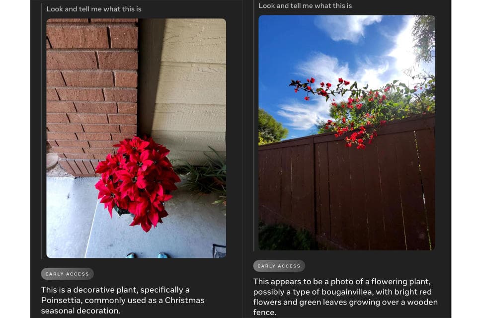 Παράδειγμα Meta AI που ταυτίζει τα λουλούδια με τα γυαλιά στα έξυπνα γυαλιά Ray-Ban Meta.