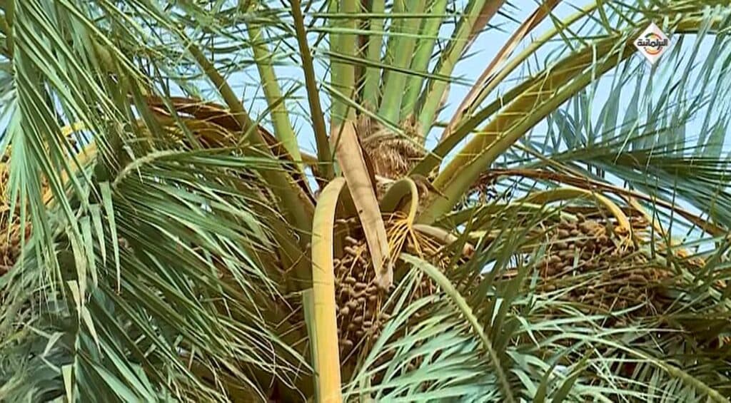 Sat & Zap, Ιανουαρίου 2024 - Digitaltvinfo.gr, Sat & Zap, Ιανουαρίου 2024 –, TechWar.GR