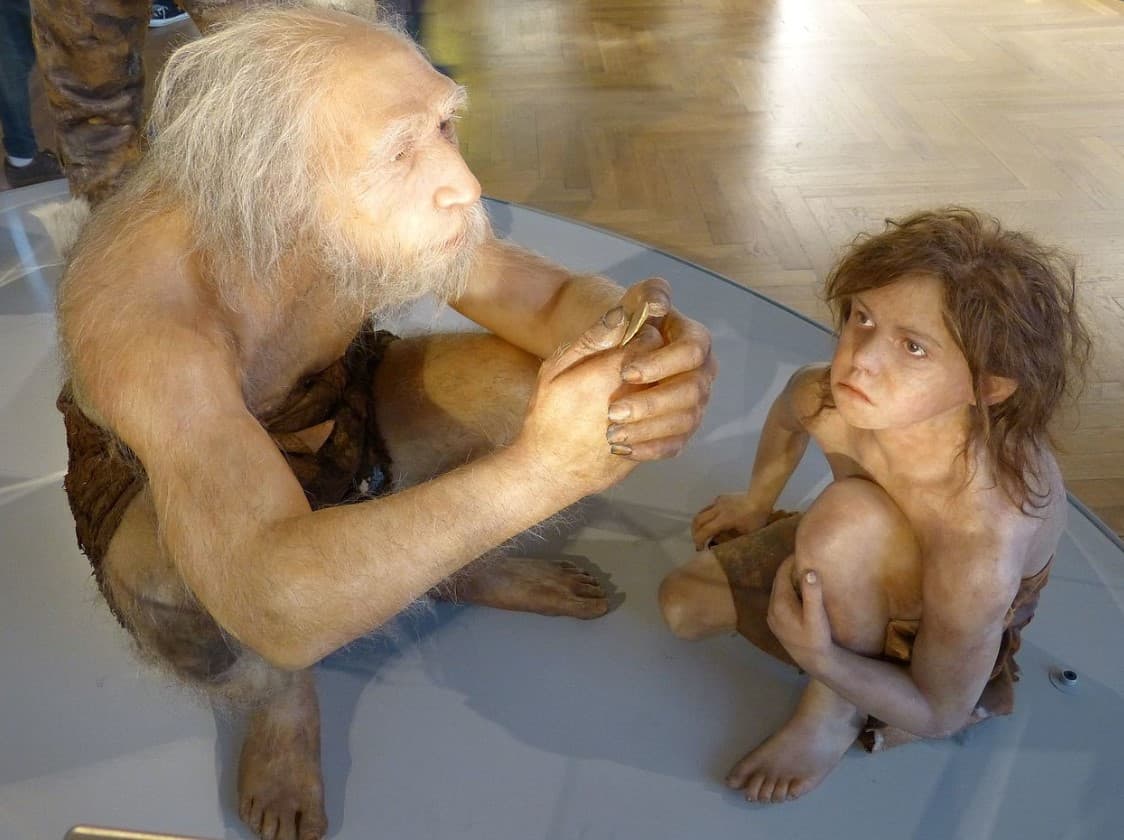 Το αρχαίο DNA ανατρέπει τα έως τώρα δεδομένα – Πότε οι Νεάντερταλ απομακρύνθηκαν εξελικτικά από τον σύγχρονο άνθρωπο, Το αρχαίο DNA ανατρέπει τα έως τώρα δεδομένα – Πότε οι Νεάντερταλ απομακρύνθηκαν εξελικτικά από τον σύγχρονο άνθρωπο, TechWar.GR