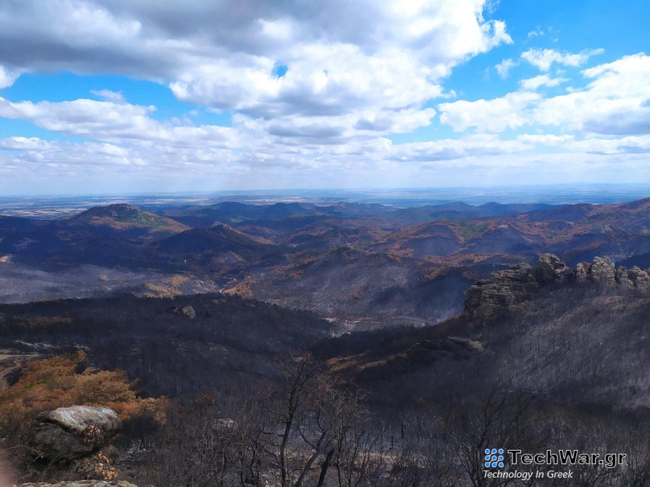 WWF Ελλάς: Μελέτη αποκατάστασης για τα 935.000 καμένα στρέμματα Έβρο
