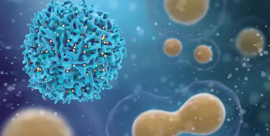 Απώλεια βάρους με κίνδυνο για τέσσερα είδη καρκίνου - cancer proteins - TechWar.GR