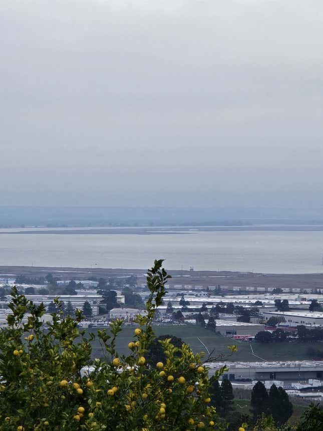 Πριν και μετά τη λήψη των σκαφών στον κόλπο που αφαιρούνται χρησιμοποιώντας εργαλεία επεξεργασίας AI. 