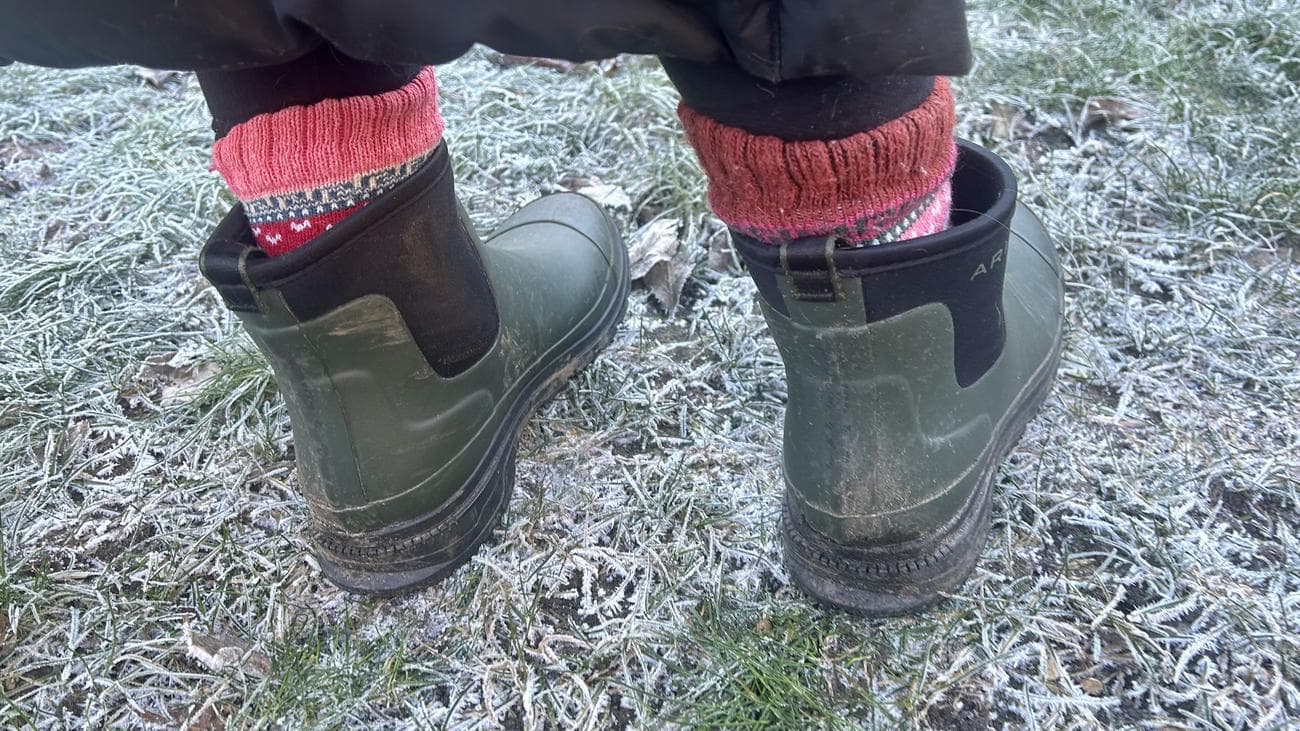 μια φωτογραφία του πίσω μέρους των μπότες από καουτσούκ Ariat Kelmarsh Shortie