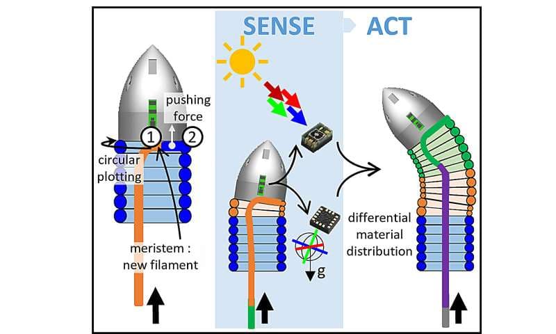 Το πρωτοποριακό ρομπότ που μοιάζει με φίδι και εκτυπώνει 3D το σώμα του για να μεγαλώσει  - novel snake like robot 2 - TechWar.GR