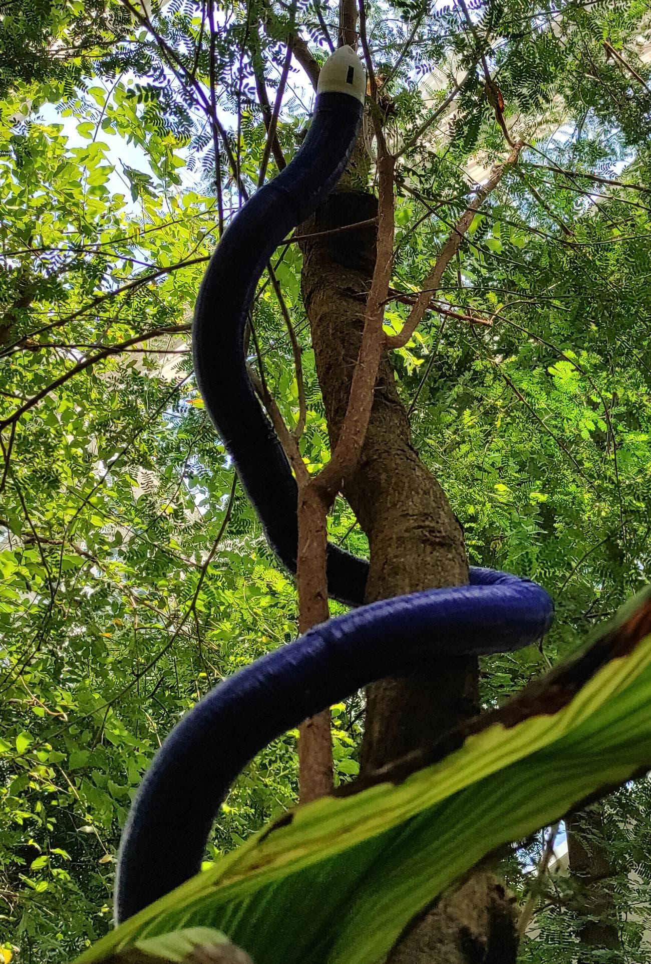 FiloBot ρομπότ 3D