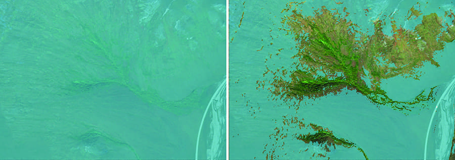 Αυτή την εβδομάδα στο AI: Το OpenAI βρίσκει έναν συνεργάτη σε ανώτερη έκδοση, Αυτή την εβδομάδα στο AI: Το OpenAI βρίσκει έναν συνεργάτη σε ανώτερη έκδοση, TechWar.GR