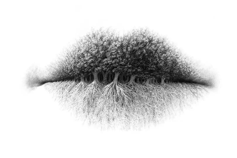 Τεστ προσωπικότητας Οπτική ψευδαίσθηση χείλη ρίζες φύλλα