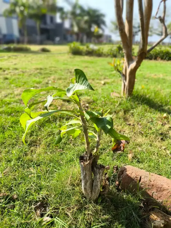 A Proper Mid-range Gaming Smartphone?, A Proper Mid-range Gaming Smartphone?, TechWar.GR