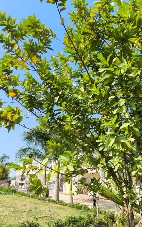 Is This the Ultimate Android Phone? - rear camera sample s24 ultra 23452.webp - TechWar.GR