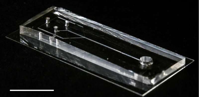 Ο ιστός του Spider-Man γίνεται πραγματικότητα - spider silk divice e1706266406980 - TechWar.GR