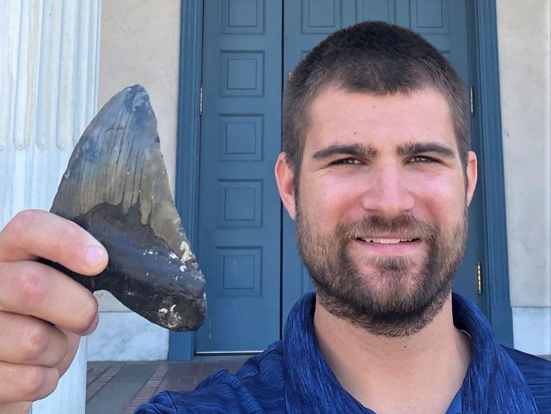 Μελέτη ανατρέπει όσα γνωρίζαμε για το πλάσμα που εξαφανίστηκε πριν από 3,6 εκατομμύρια χρόνια - sternes megalodon tooth pic web - TechWar.GR