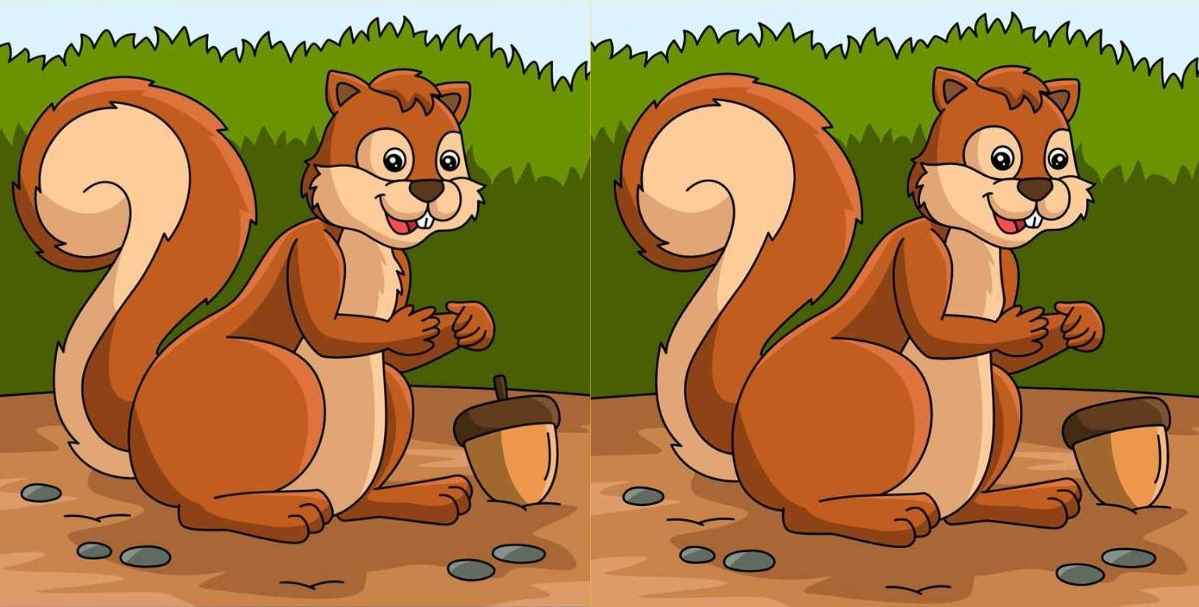 Τεστ παρατηρητικότητας Βρες τις διαφορές σκιουράκι