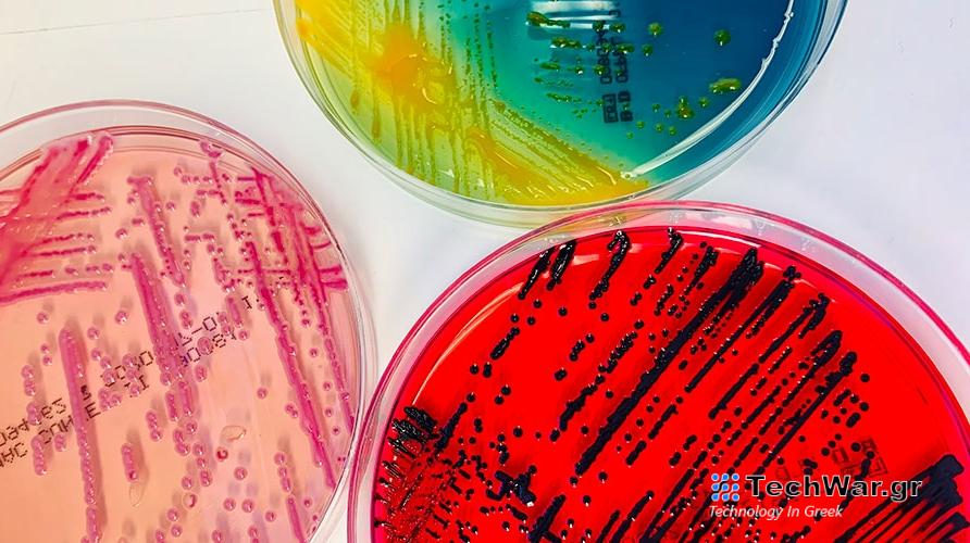 Δεκάδες άγνωστα βακτήρια ανακαλύφθηκαν σε ασθενείς νοσοκομείου