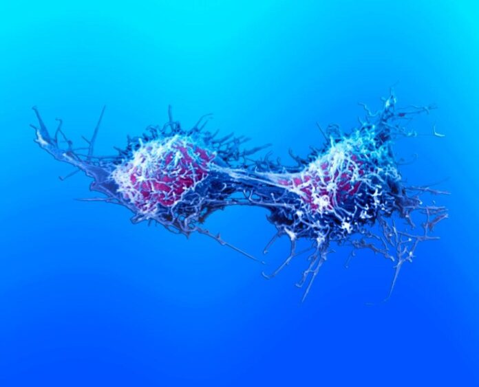 Δράσεις σύγκλισης με τις ευρωπαϊκές πολιτικές για τον καρκίνο Δράσεις σύγκλισης με τις ευρωπαϊκές πολιτικές για τον καρκίνο