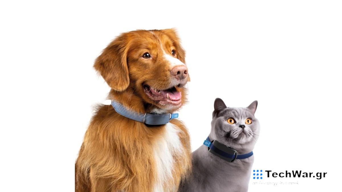 Η Invoxia διαθέτει νέο έξυπνο κολάρο κατάλληλο τόσο για γάτες όσο και για σκύλους
