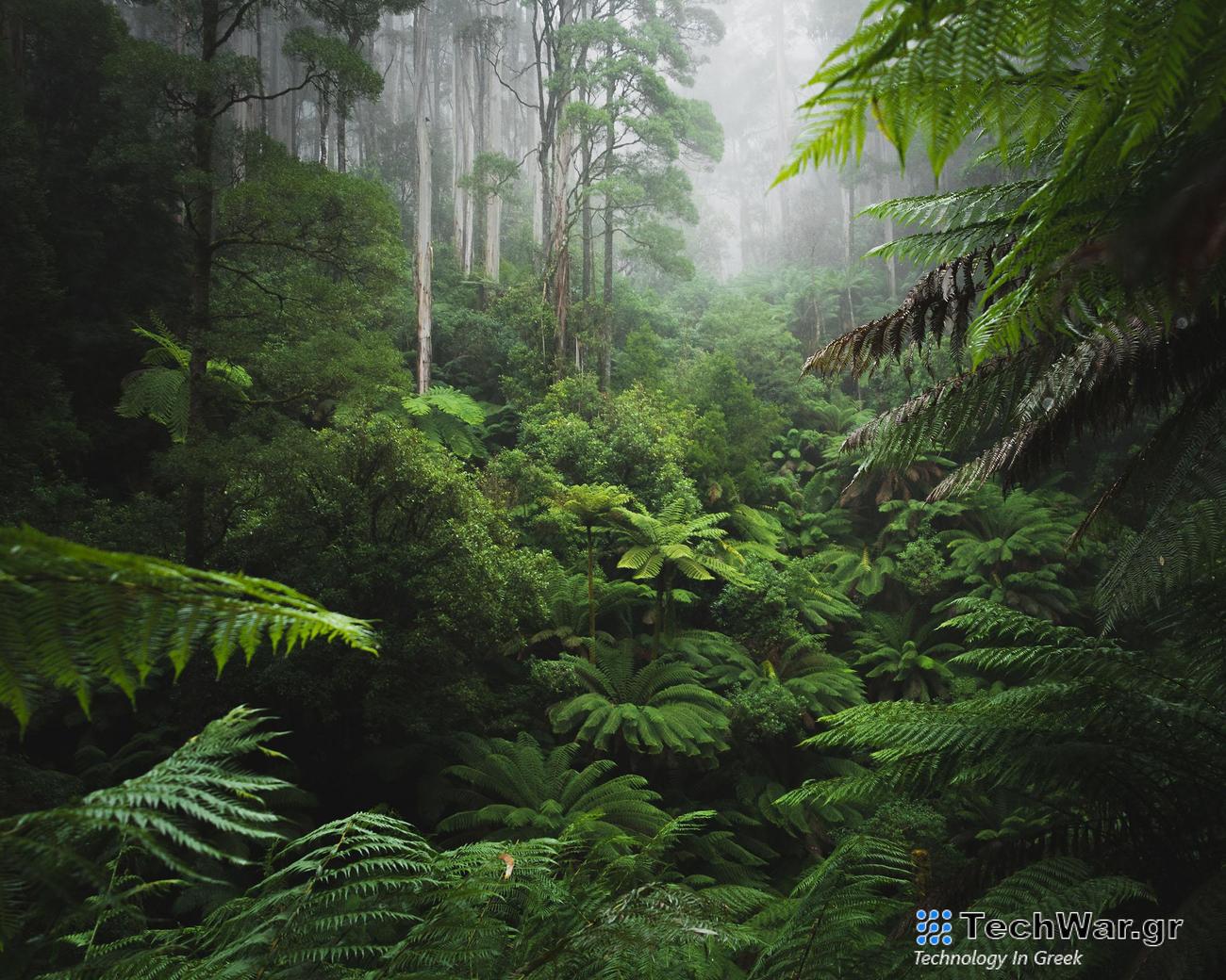 Η ρεκόρ ξηρασίας της Amazon πιθανότατα οφείλεται στην κλιματική αλλαγή
