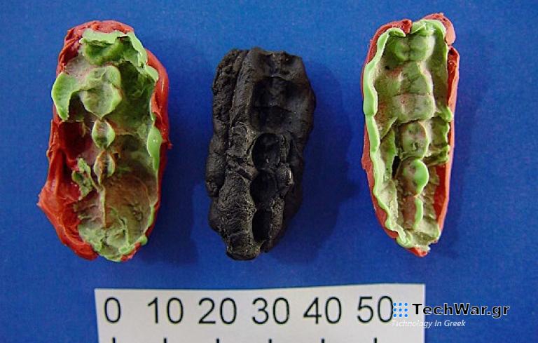 Τι μαρτυρά για την Εποχή του Λίθου μια προϊστορική μασημένη τσίχλα