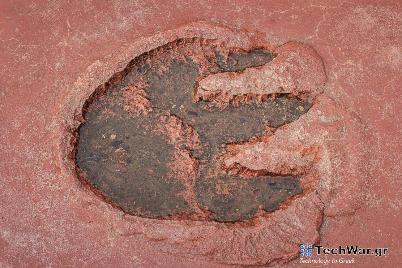 Το μουμιοποιημένο δέρμα παλαιότερο από τους δεινόσαυρους είναι πιθανόν ερπετό, λέει η μελέτη